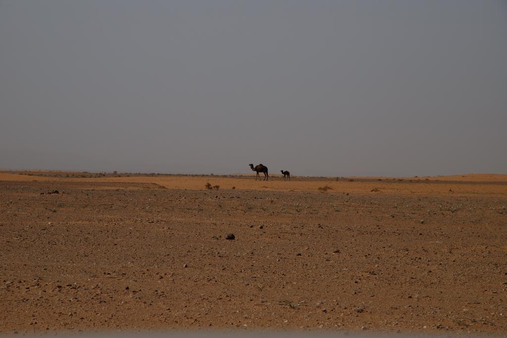 4 days tour Ouarzazate to Chegaga desert