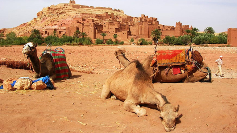 guided Morocco desert tour Sahara dunes Merzouga Numidian